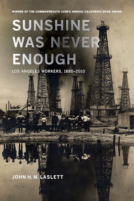 Book cover image for Sunshine Was Never Enough ISBN: 9780520282193